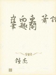 崔向东 萧错 笔趣阁