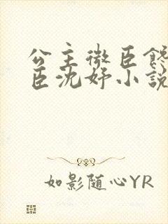 公主微臣馋了微臣沈妤小说