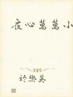 夜心万万小说
