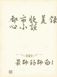 都市收美录宁素心小说
