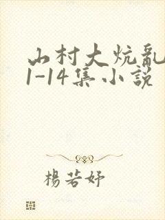 山村大炕乱肉续1-14集小说