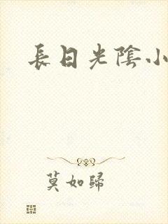 长日光阴小说