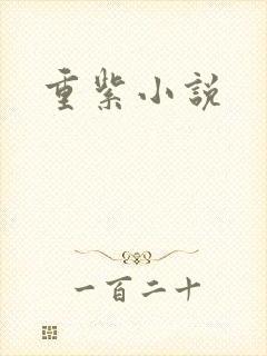 重紫小说