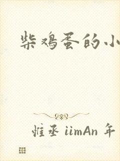 柴鸡蛋的小说