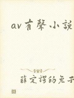 av有声小说