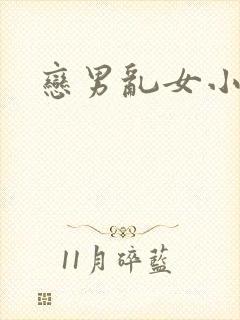 恋男乱女小说