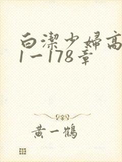 白洁少妇高义第1一178章