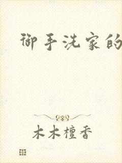 御手洗家的墙洞