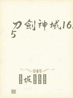 刀剑神域16.5