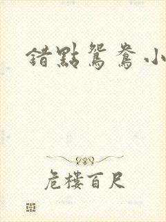 错点鸳鸯小说