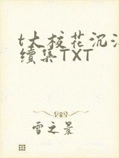 t大校花沉浮录续集TXT