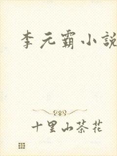 李元霸小说