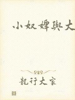 小奴婢与大少爷