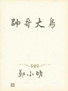 帅哥大鸟