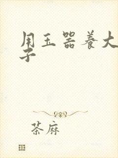 用玉器养大的皇子