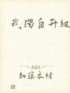 我独自升级小说