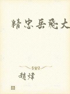 精忠岳飞大结局