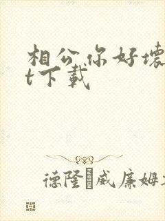 相公你好坏txt下载