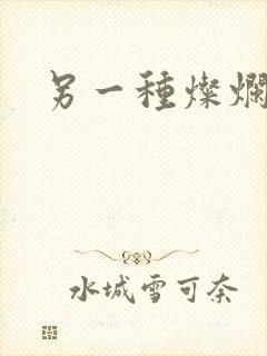 另一种灿烂生活