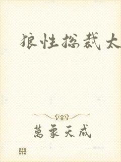 狼性总裁太凶猛