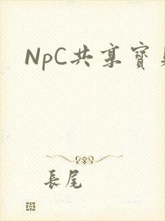 NpC共享宝贝