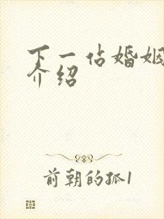 下一站婚姻剧情介绍