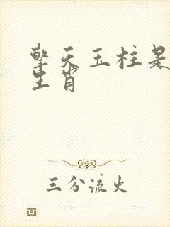 擎天玉柱是什么生肖封面