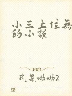 小三上位无三观的小说