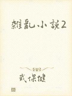 杂乱小说2
