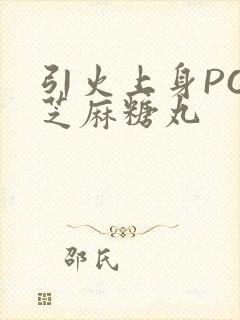 引火上身POP芝麻糖丸