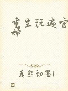 重生玩遍官场贵妇