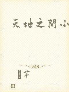 天地之间小说