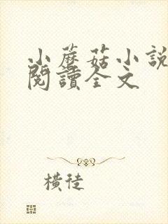 小蘑菇小说免费阅读全文