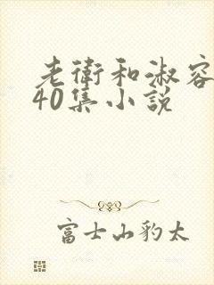 老卫和淑容1-40集小说