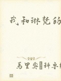 我和琳梵的故事