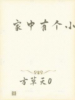家中有个小姨子