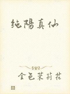 纯阳真仙