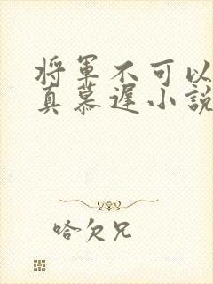 将军不可以魏云真慕迟小说笔趣阁