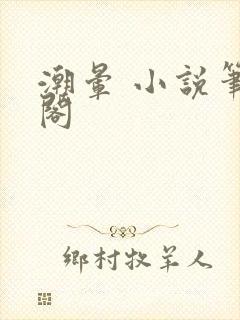 潮晕 小说笔趣阁