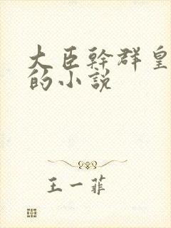 大臣干群皇太后的小说