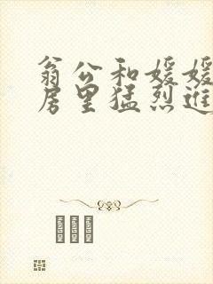 翁公和媛媛在厨房里猛烈进出