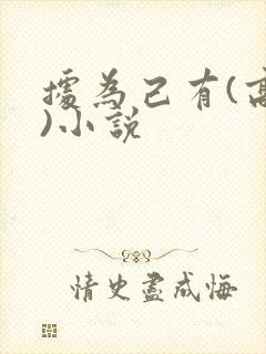 据为己有(高干)小说