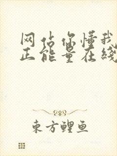 网站你懂我意思正能量在线观看免费软件小说