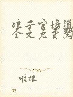 浪子官场猎艳记全文免费阅读