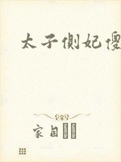 太子侧妃傻乎乎