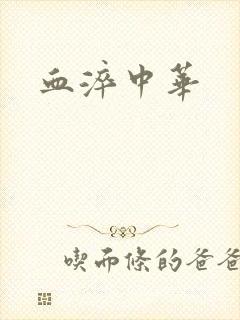 血淬中华