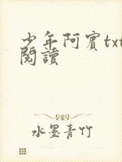 少年阿宾txt阅读