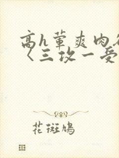 高h荤爽肉欲文〈三攻一受