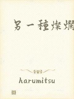 另一种灿烂生活