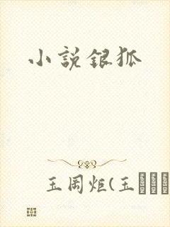 小说银狐